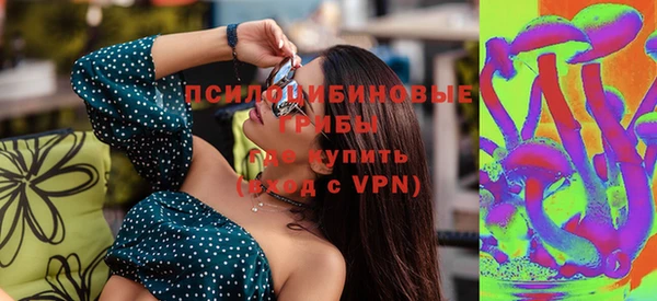 таблы Новозыбков
