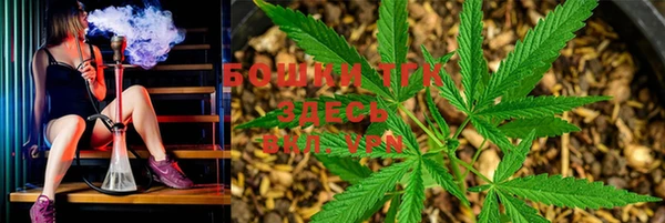 MESCALINE Новодвинск