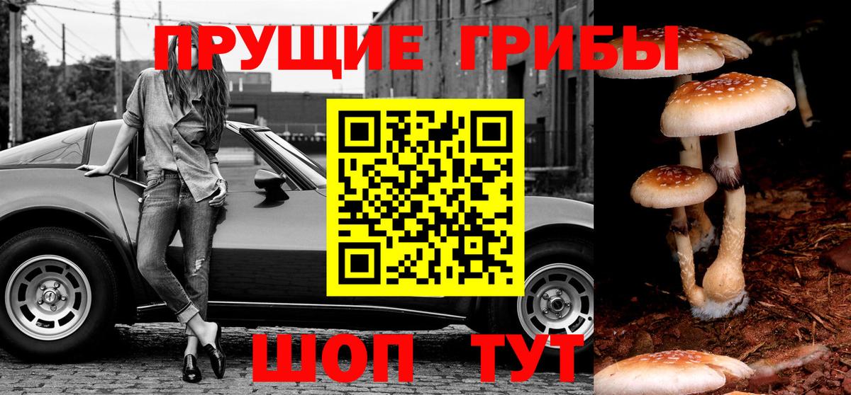 Галлюциногенные грибы мицелий Севастополь